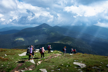 A group of tourists with backpacks walks along a hiking trail in the Ukrainian Carpathians. Climbing...