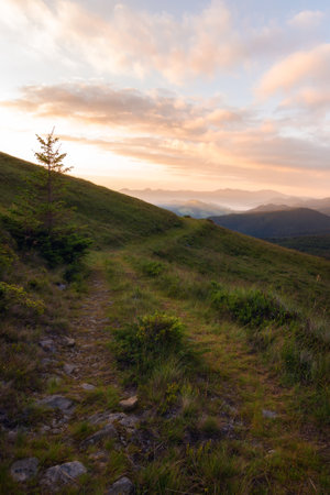 Sunrise in Carpathian mountain/ Morning in wood. Colorful landscape with woods in fog, sunbeams, sky, forest at dawn in fall. Top viewの写真素材