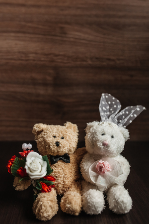 background bearsの写真素材