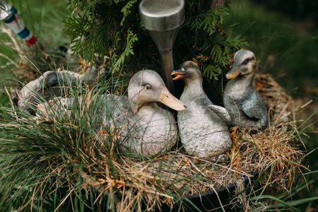 decorations for the gardenの写真素材
