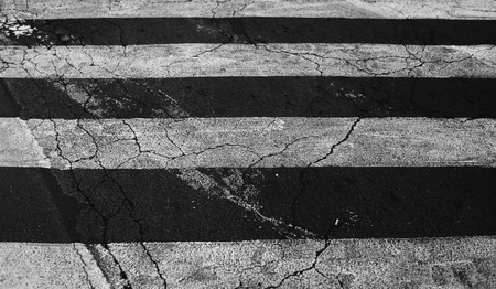 Crosswalk background,Zebra,human security,a background image,to insert textの写真素材