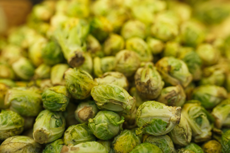 Cabbage,a cabbage,a background image,suitable for advertisement,insert textの写真素材