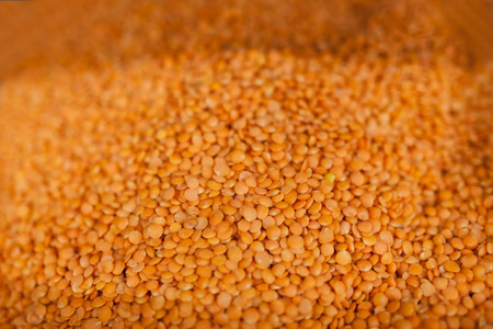 Whole grains,orange background image,for advertising or insert textの写真素材