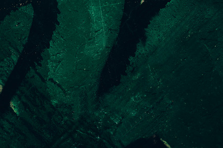 Green background, graffiti background image for advertisement ,insert textの写真素材