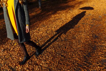 Stylish girl walking in autumn Park with a parasol, the shade of the girl in the background