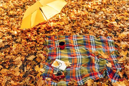 Checkered red and yellow plaid with fringe and autumn leaves, a book, glasses, and a camera, and...