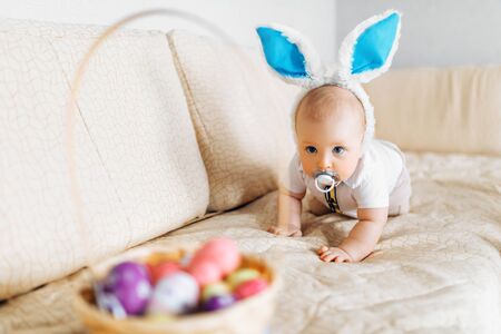 Cute funny baby with rabbit ears crawls to the basket with Easter eggs at home on the sofa