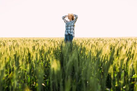 A happy beautiful woman in a wheat field admires the beauty of the fields against the background of the sunsetの写真素材