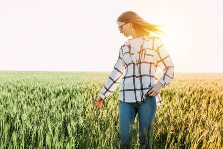 young beautiful woman in a checked shirt and sunglasses, walking through a wheat fieldの写真素材