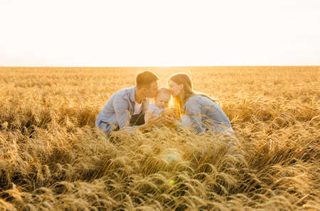 Happy family on a summer walk, mother, father and child walk in the wheat field and enjoy the...