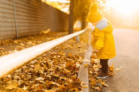 Happy little kid laughing and playing in the autumn on nature walks outdoors, little boy in a yellow hat and jacket in autumnの写真素材