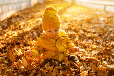 Little boy in autumn clothes playing with autumn leaves in the park outdoorsの写真素材