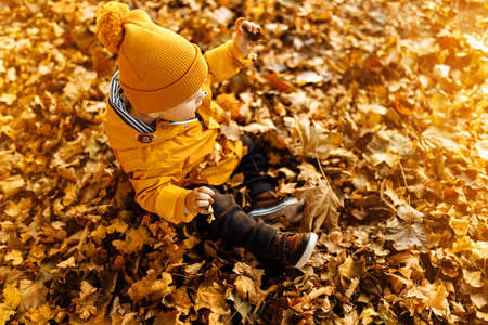 Cute little baby in the autumn park, Happy child enjoying a warm and sunny autumn day. Autumn outdoor fun for kidsの写真素材