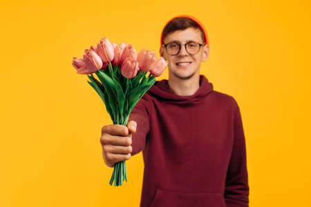 closeup of a bouquet of flowers, a man gives a bouquet of pink tulips, on a yellow background