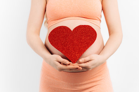 Belly of a pregnant woman and a red heart on a white background.The concept of motherhood, parenting, preparation and expectationの写真素材
