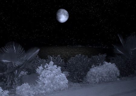 tropical beach with beautiful full moonの写真素材