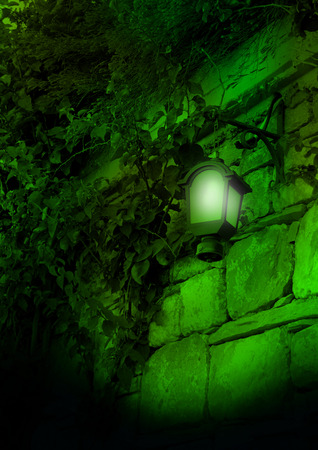 street lamp in the Park at nightの写真素材