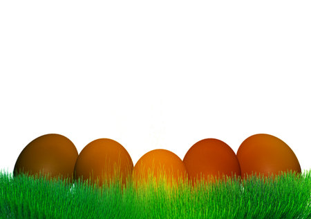 red easter eggsの写真素材