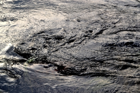 waterの写真素材