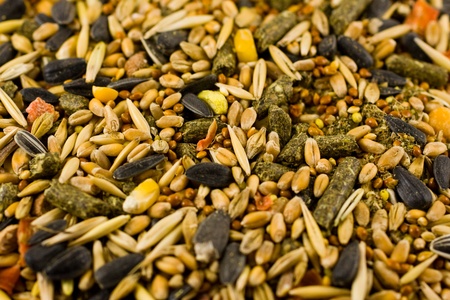 A pile of hamster food mix isolated on a white backgroundの写真素材