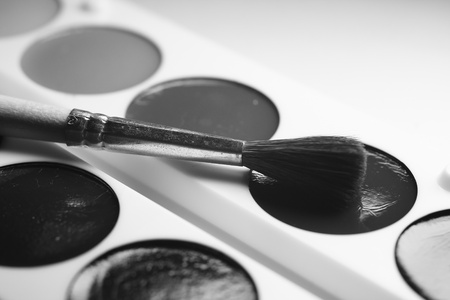 Paints in black and white colour with brusheの写真素材