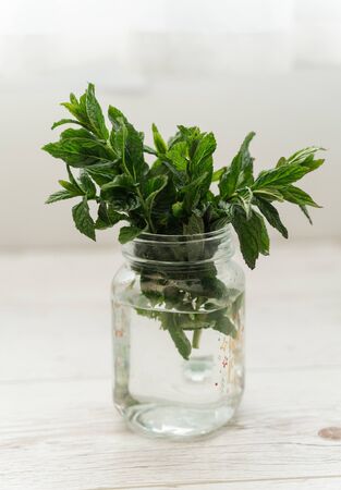 mint in a transparent glass. Healthy eating concept.の写真素材