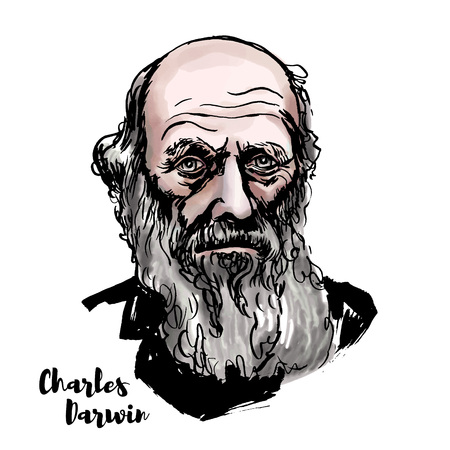 Charles Darwin watercolor vector portrait with ink contours. English naturalist, geologist and biologist, best known for his contributions to the science of evolution.のイラスト素材