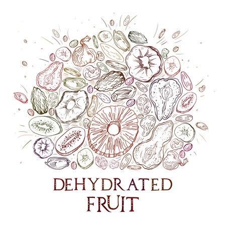 Dehydrated fruit round shape pattern in engraved style with colored elements and lettering. Fully editable color vector illustrations for background or sticker.のイラスト素材