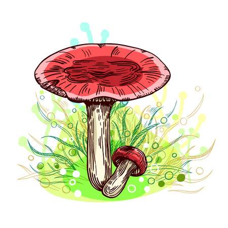 Russula mushroom with grass on background in engraved style. Vector illustration.のイラスト素材