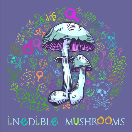 Yellow staining mushroom in engraved style. Fully editable vector mushroom illustration with warning icons, nature elements and lettering.のイラスト素材