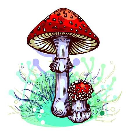 Fly agaric mushroom with grass on background in engraved style. Vector illustration.のイラスト素材