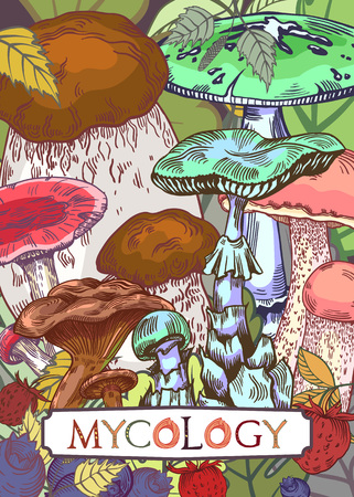 Mycology cover illustration with leaves and berries in engraved style. Fully editable vector illustration with clipping mask. Figured table with mushroom lettering.のイラスト素材