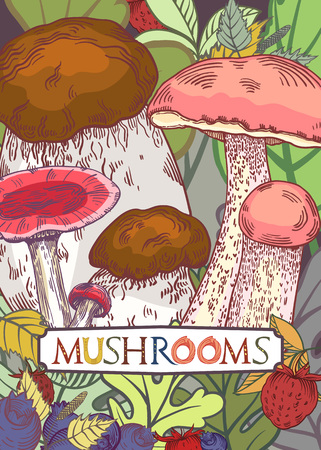 Edible mushroom cover with leaves and berries in engraved style. Fully editable vector illustration with clipping mask. Figured table with mushrooms lettering.のイラスト素材