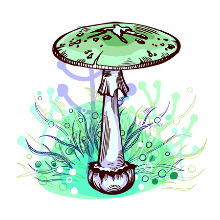 Destroying angel mushroom with grass on background in engraved style. Vector illustration.のイラスト素材