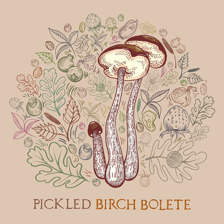 Pickled brown-cap bolete with leaves, spices and berries in engraved style. Round shape pattern background in pale colors. Vector illustration for pickled mushrooms with lettering.のイラスト素材