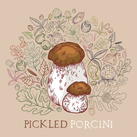Pickled porcini mushroom with leaves, spices and berries in engraved style. Round shape pattern background in pale colors. Vector illustration for pickled mushrooms with lettering.のイラスト素材