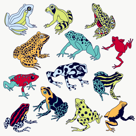 Vector frogs set hand drawn illustration. Violet contour, various colors, fully editable image.のイラスト素材