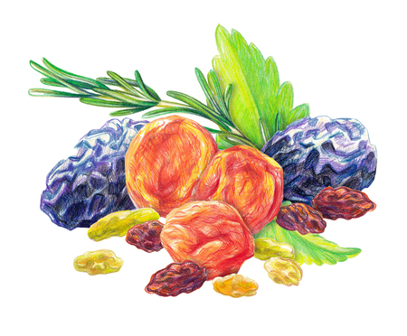 Assorted dry fruit set with mint leaves and rosemary drawn with color pencil in realistic style. Isolated on white background.の写真素材