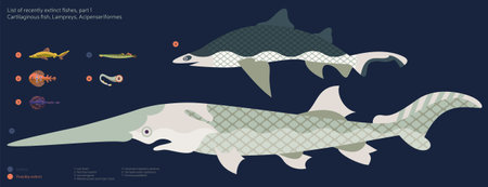 A vector flat fishes set - numbered list of recently extinct fishes on deep blue background.のイラスト素材