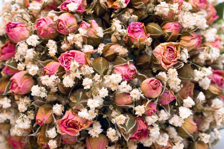 Dried wedding bouquet isolated on white backgroundの写真素材