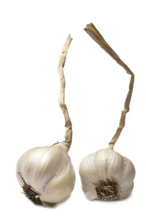 Two garlics isolated on the white backgroundの写真素材