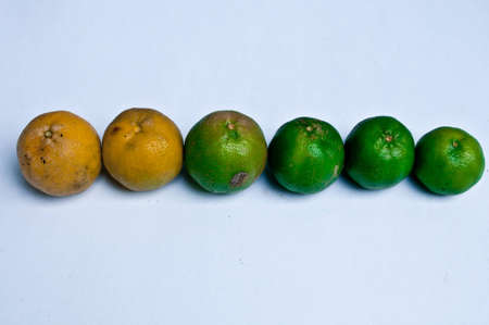 arrange of fresh yellow and green lemon