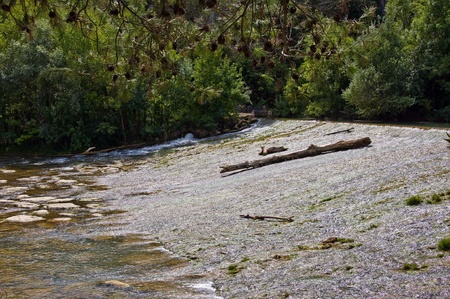 a quiet riverの写真素材