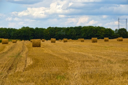 rolls of hayの写真素材