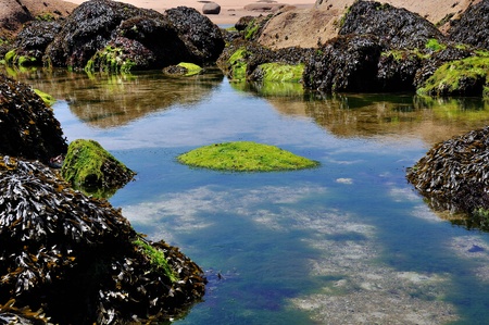 large rocks on the beach at low tideの写真素材