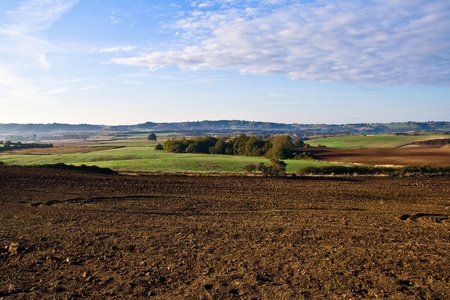 the tuscan countryside near orvietoの写真素材