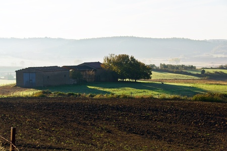 the tuscan countryside near orvietoの写真素材