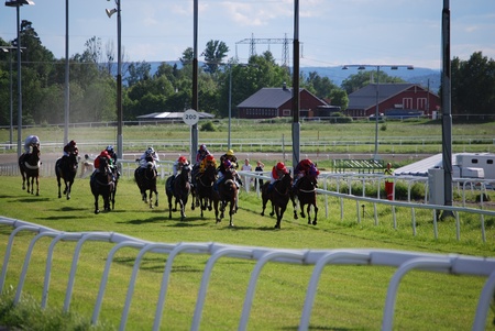 Horseracingのeditorial素材