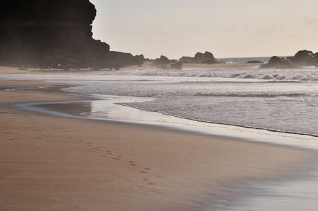 ocean beach and rock cost of island Fuerteventura