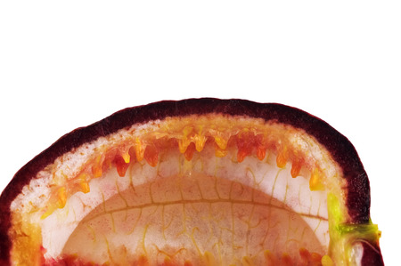 Empty Passion fruit isolated on white background with clipping path